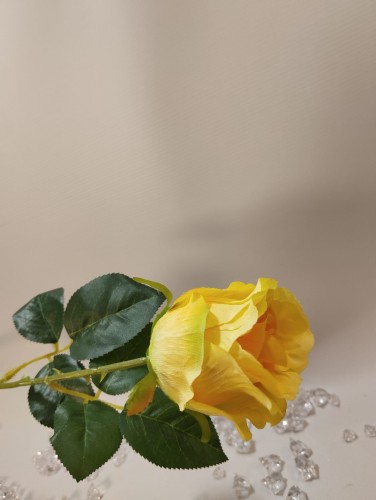 IMG_20250207_144000.jpg