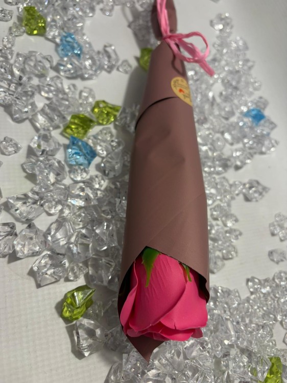 WhatsApp Image 2026-03-03 at 13.49.12.jpeg