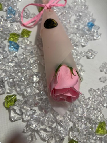 WhatsApp Image 2026-03-03 at 13.50.27.jpeg