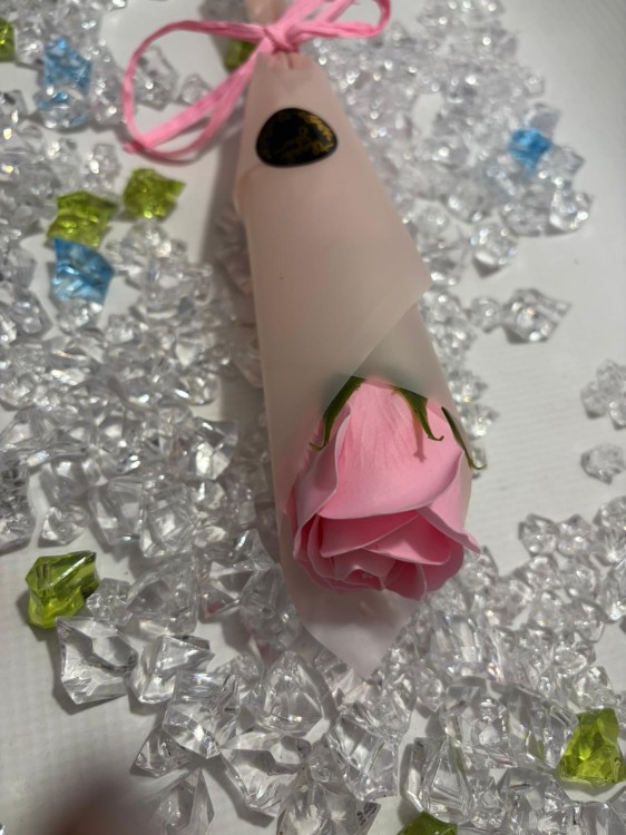 WhatsApp Image 2026-03-03 at 13.50.27.jpeg