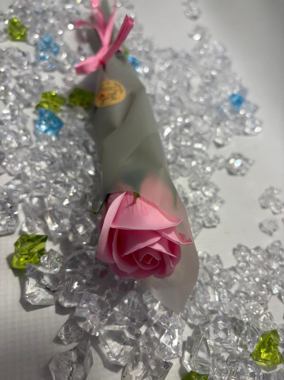 WhatsApp Image 2026-03-03 at 13.50.32.jpeg