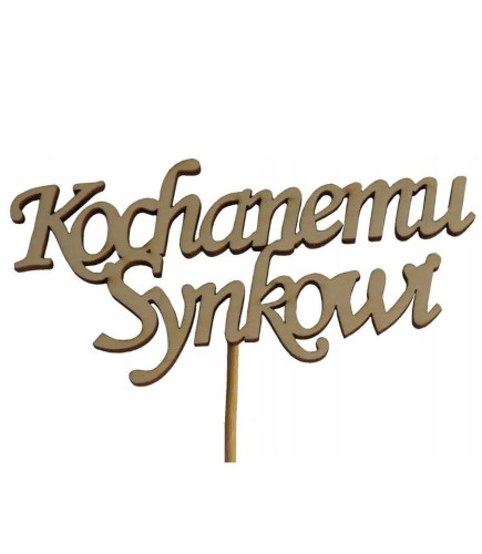 KOCHANEMU SYNKOWI.jpg