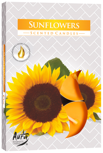 slonecznik podgrzewacz.png